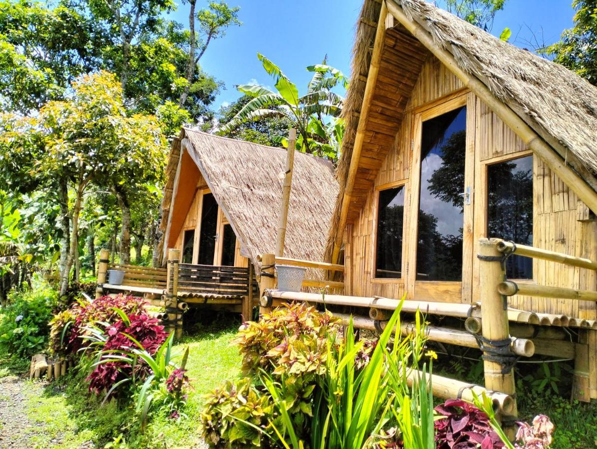 Wanagiri Campsite Gitgit Buitenkant foto