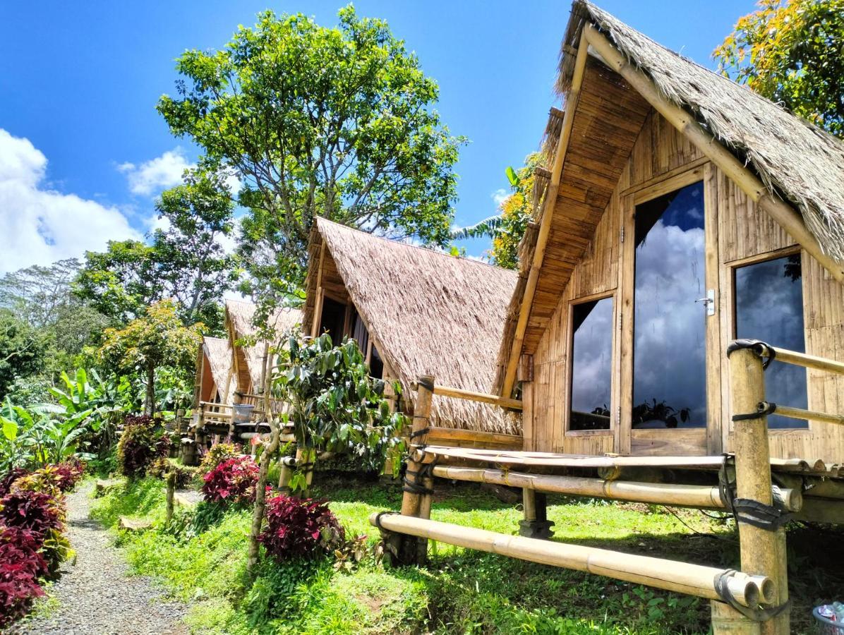 Wanagiri Campsite Gitgit Buitenkant foto
