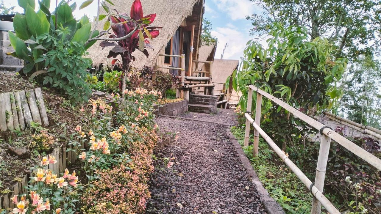 Wanagiri Campsite Gitgit Buitenkant foto