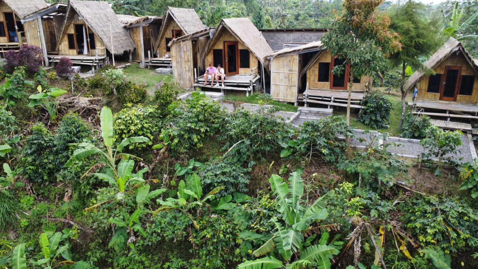 Wanagiri Campsite Gitgit Buitenkant foto